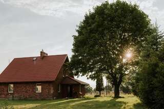 Фото Дома для отпуска Przystanek w lesie г. Skórzewo